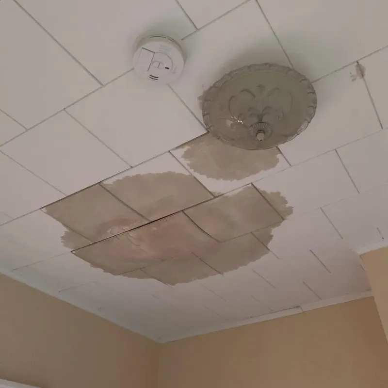 Ceiling Water Damage Repair in Portage County, OH