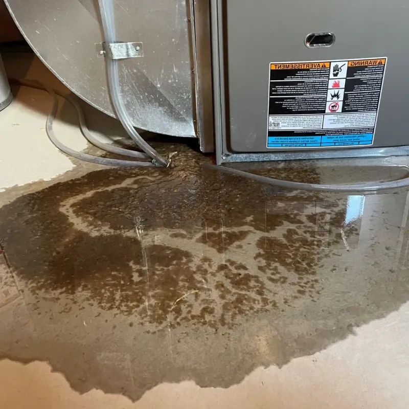 Pipe Burst and Leak Restoration in Portage County, OH