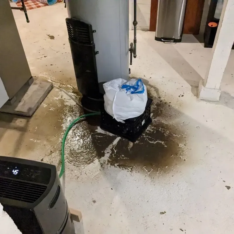 Sewage Backup Cleanup Service in Portage County, OH
